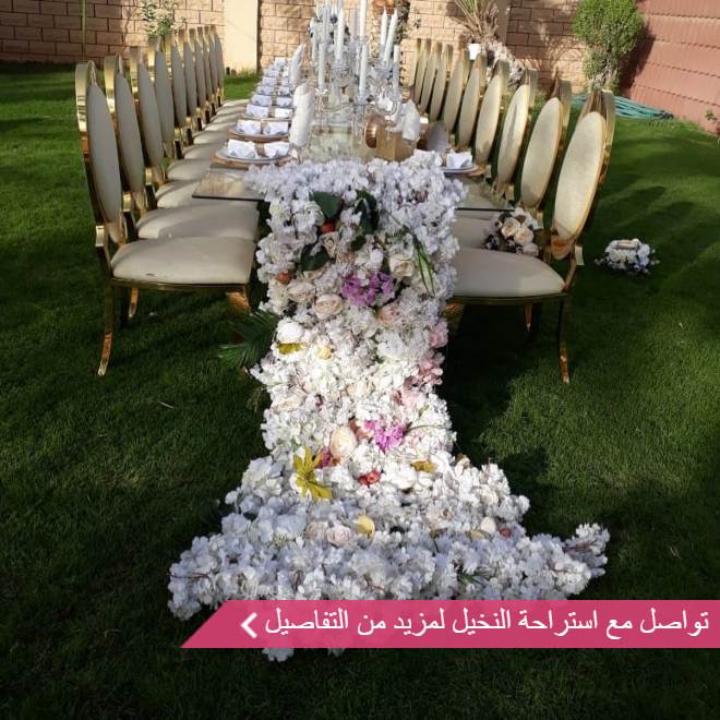 استراحة النخيل