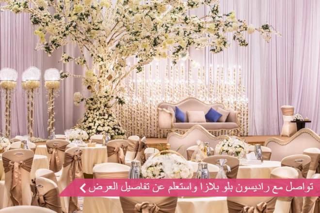 قاعة فندق راديسون بلو بلازا