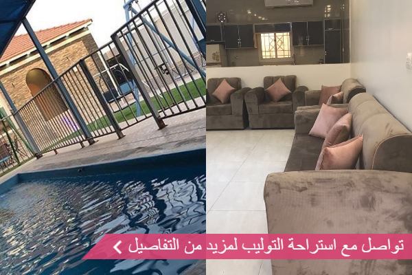 استراحة التوليب