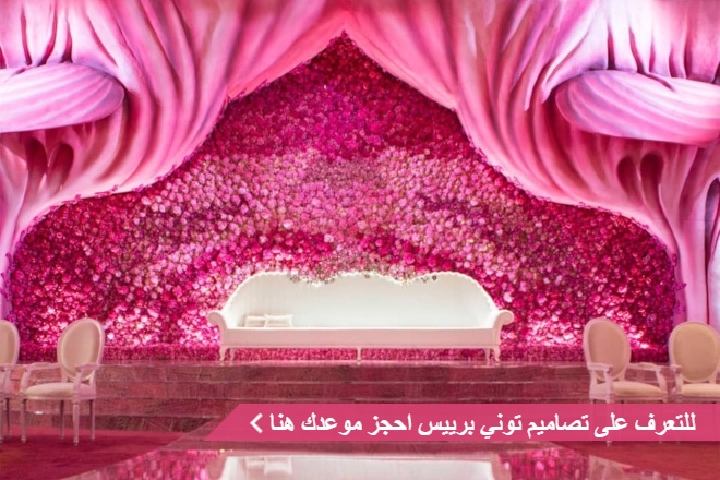 ليفل باي توني بريس