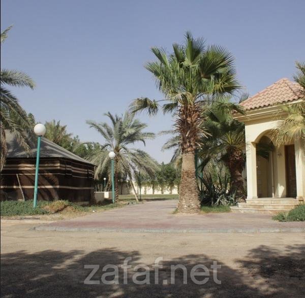 أستراحة المحمدية