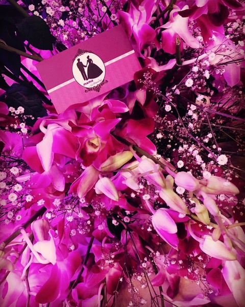 ميمي للاحتفالات