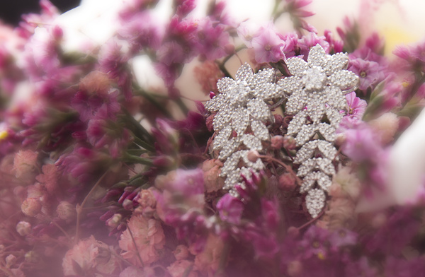استديو رها -المصوره امجاد الحربي