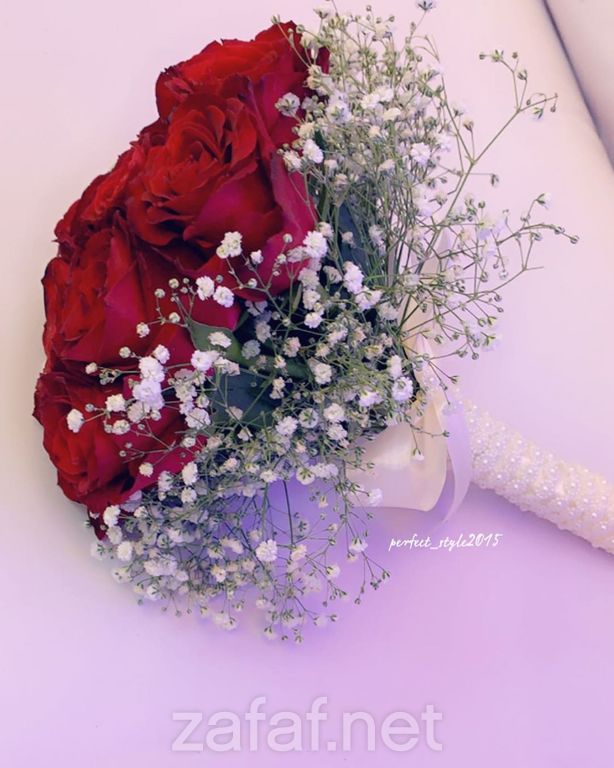 المصورة أروى