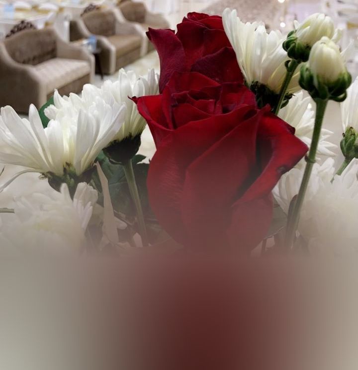 قاعة همسات للافراح و المناسبات