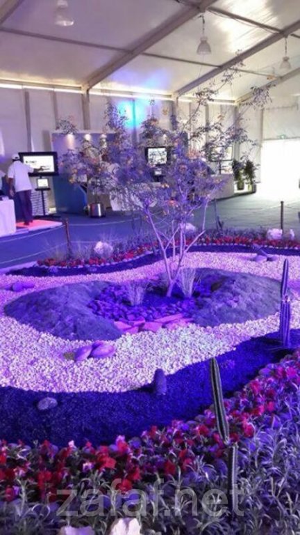 مؤسسة نجوم الصحراء - الخبر