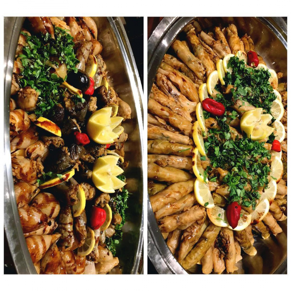 مطبخ أم تركي