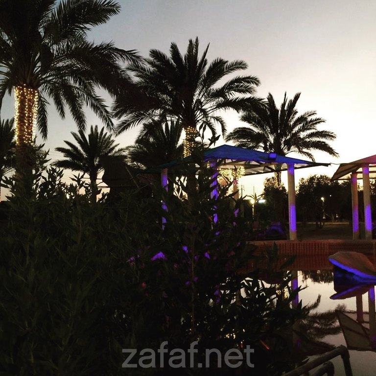 منتجع الروضة