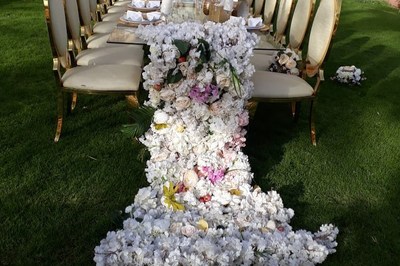 استراحة النخيل