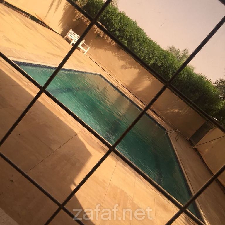 استراحة النخيل