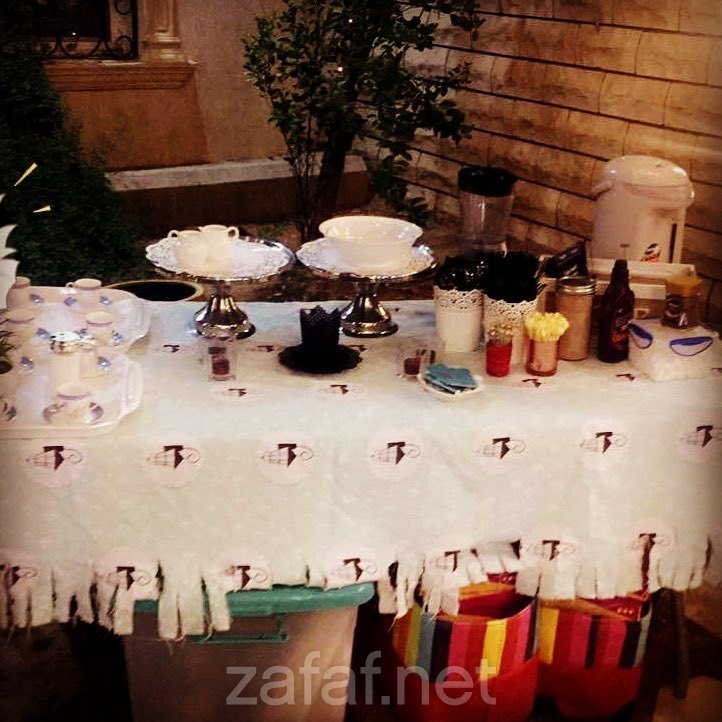 استراحة النخيل