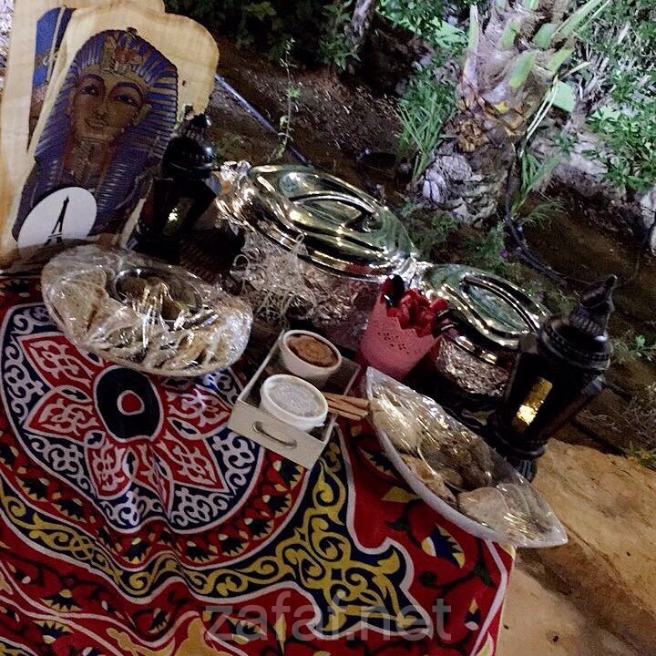 استراحة النخيل