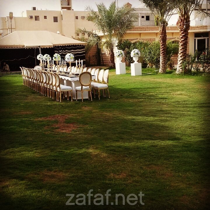 استراحة النخيل