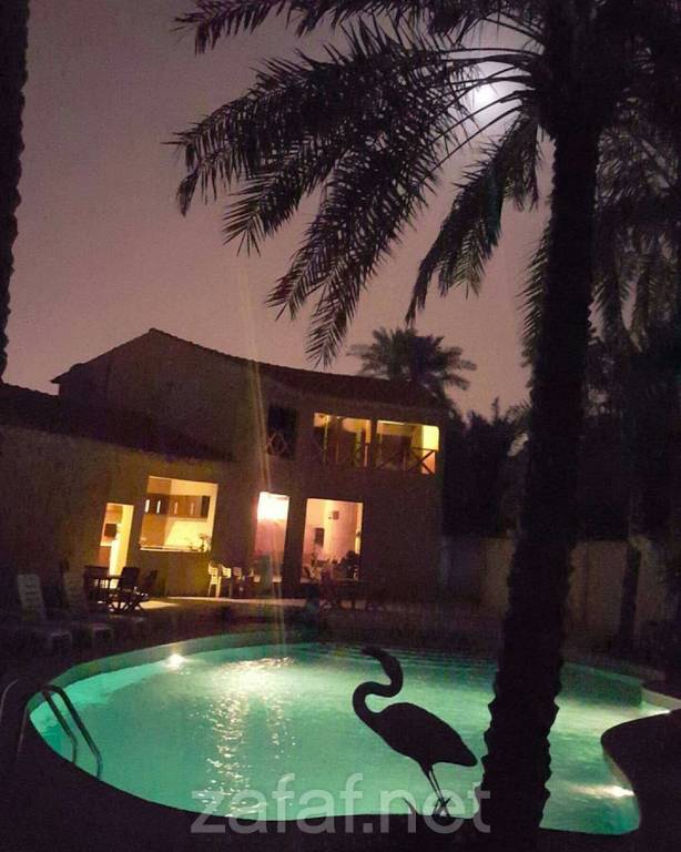 منتجع اويسس