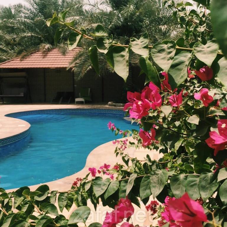 منتجع باب الهوى السياحي