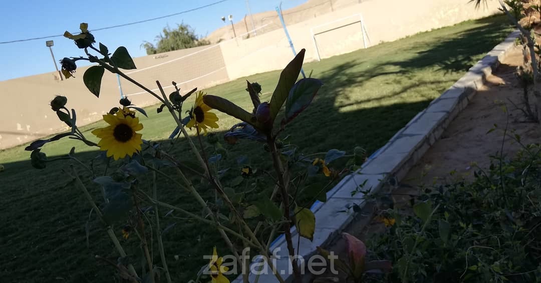 شاليه روجين