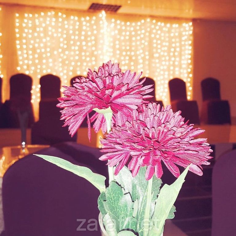 العامرية للاحتفالات