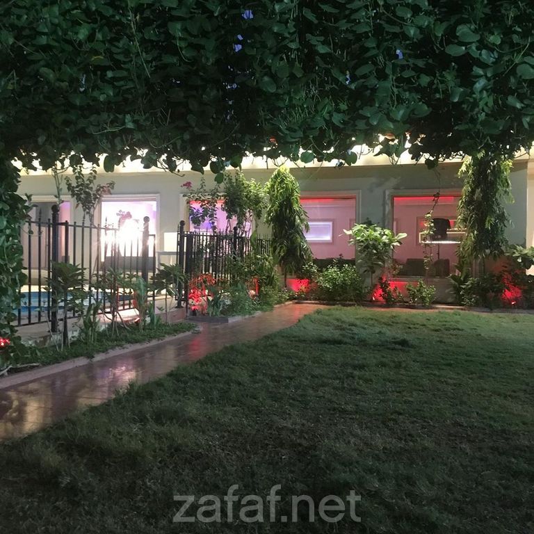 استراحة اللوتس