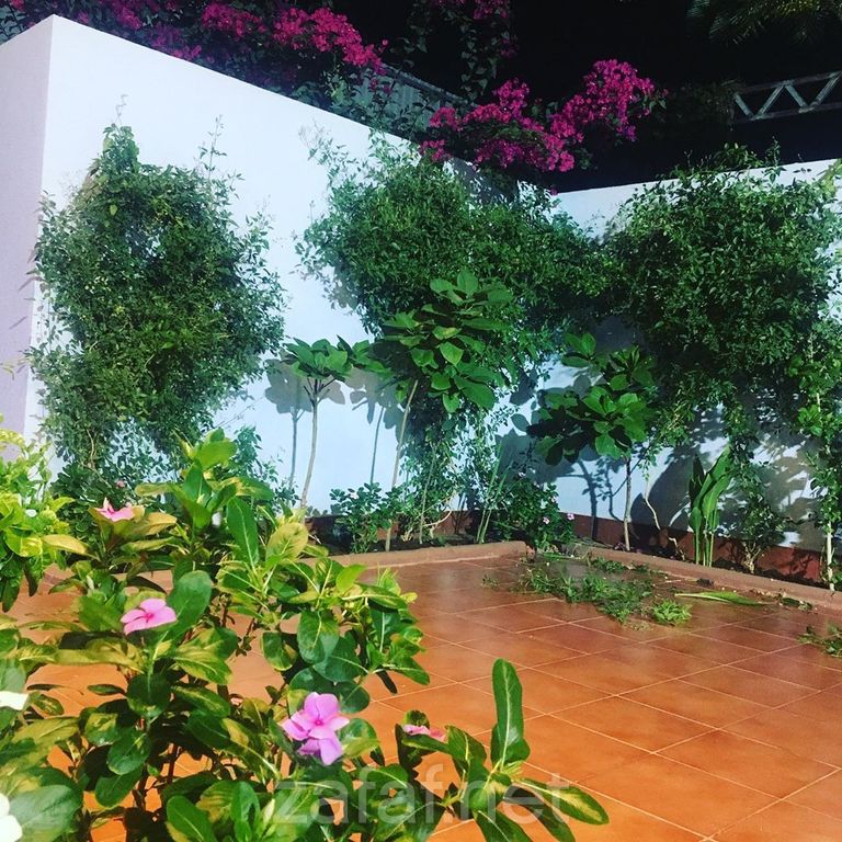 استراحة اللوتس