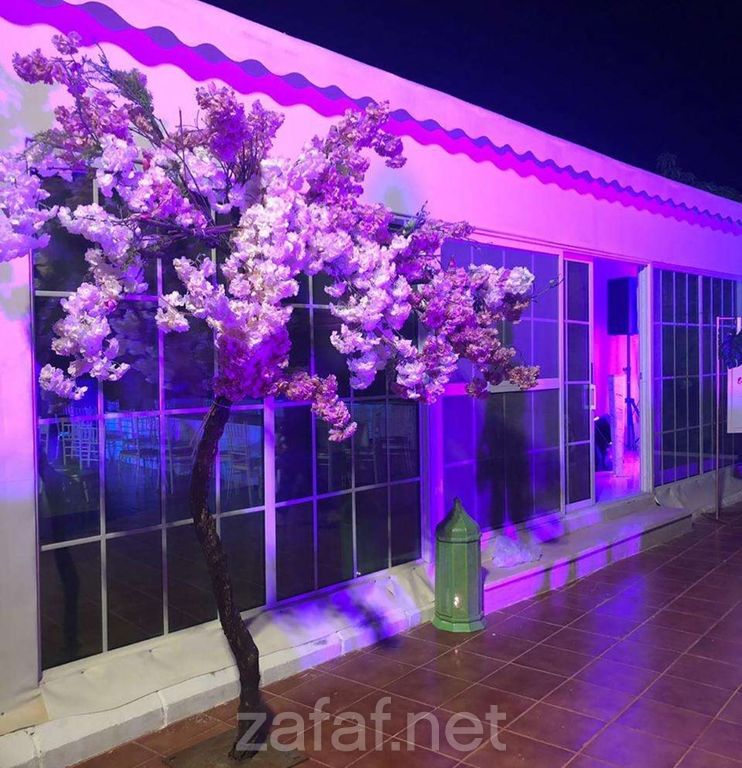 استراحة المرجانة