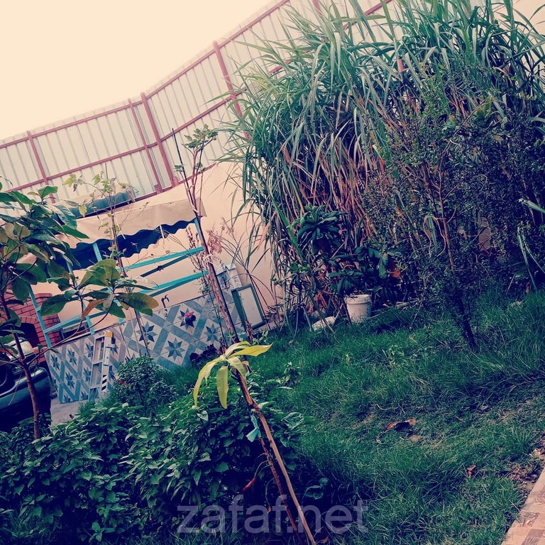 استراحة السعادة -القطيف