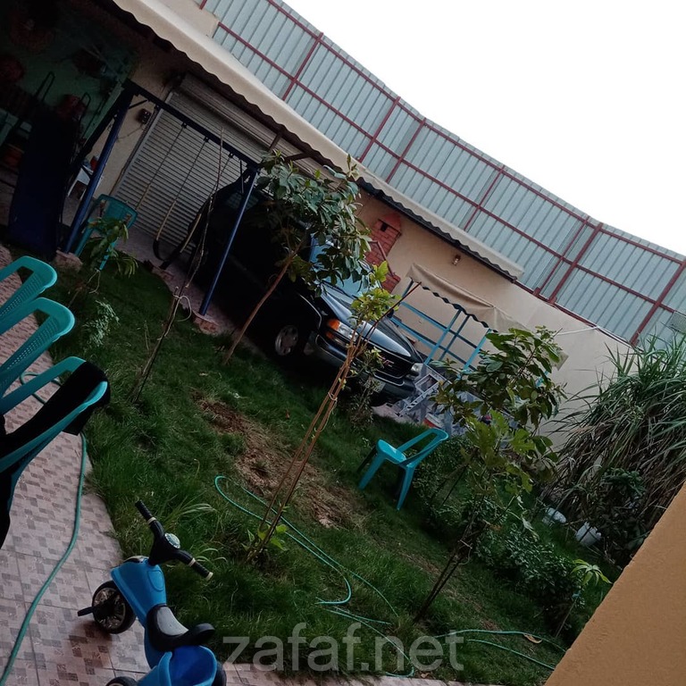 استراحة السعادة -القطيف