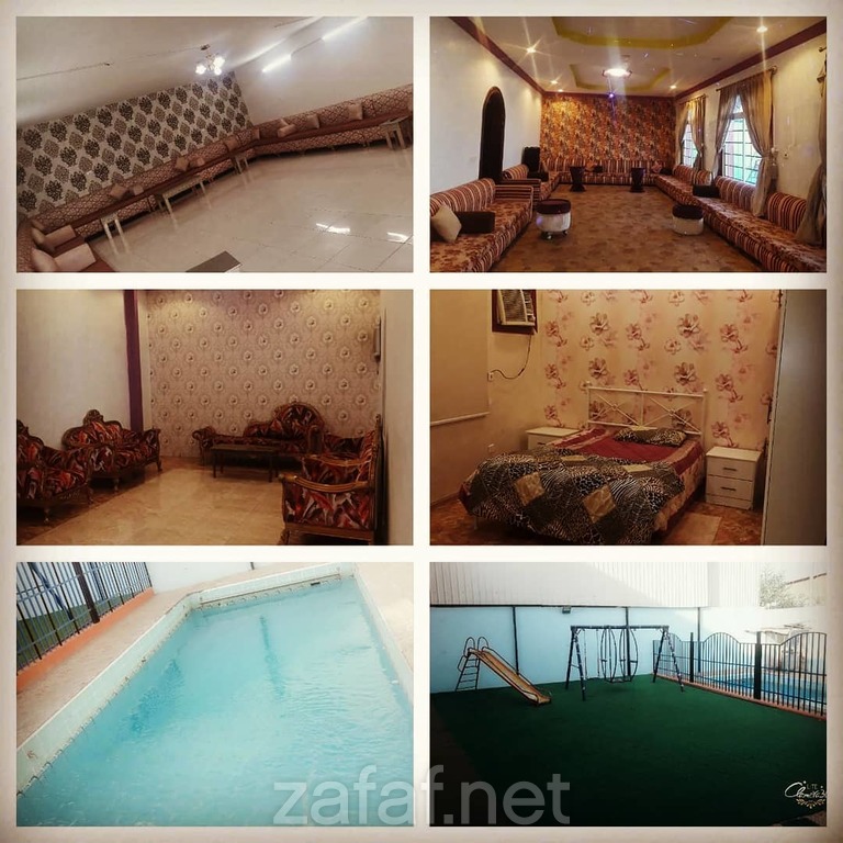 استراحة النورس