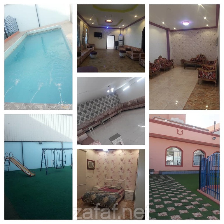 استراحة النورس