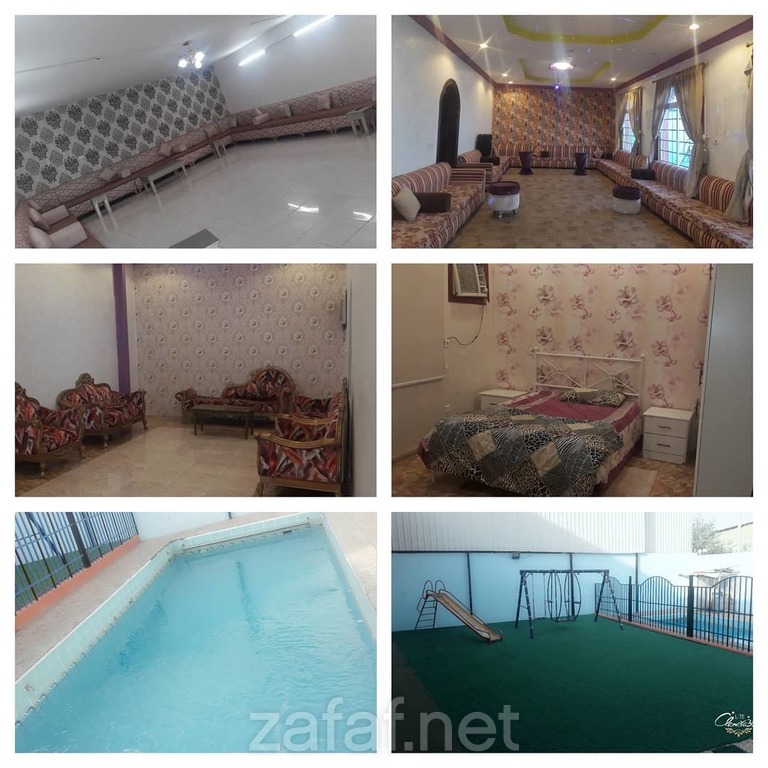 استراحة النورس