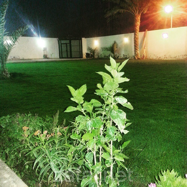 إستراحة مياسين