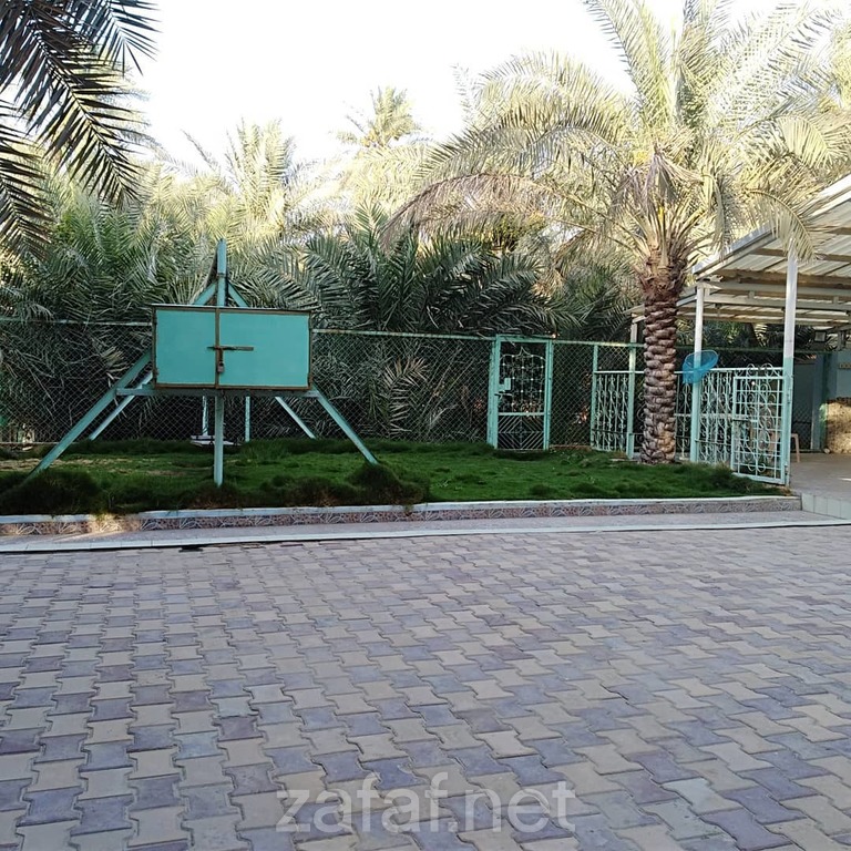 استراحة ديالا لاند