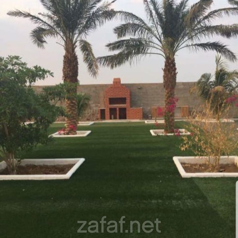 استراحة السكرية