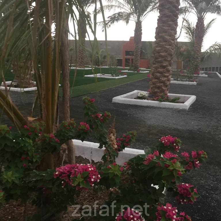 استراحة السكرية