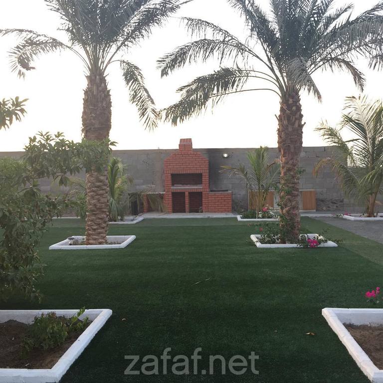 استراحة السكرية