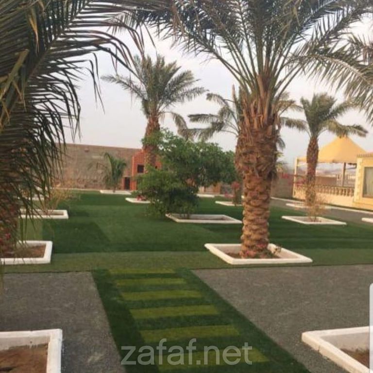 استراحة السكرية