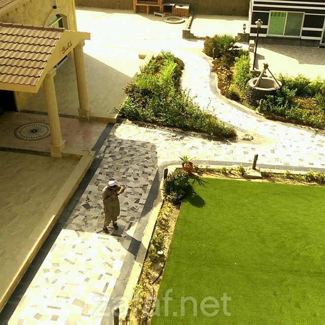 استراحة نسيم الجبل
