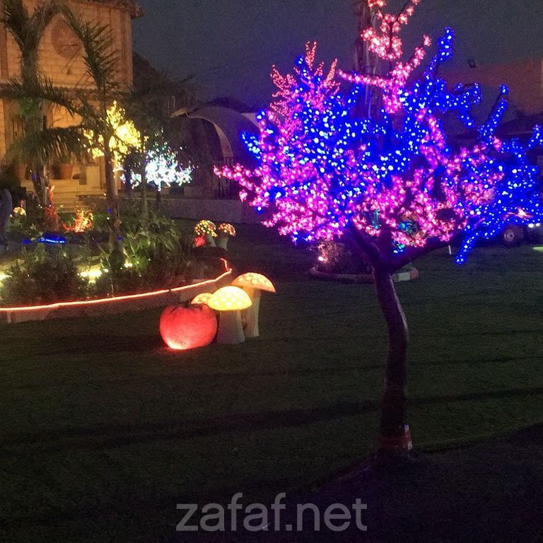 إستراحة و منتجع رابية