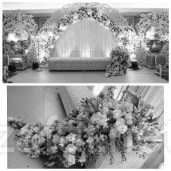 بارتيفلوريسا