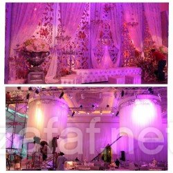 بارتيفلوريسا