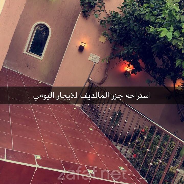 استراحة جزر المالديف