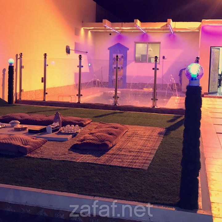 شالية نيلوفر