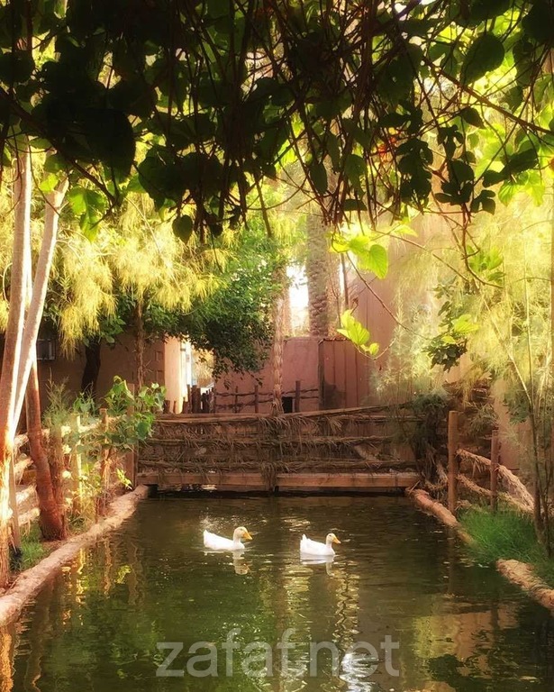 منتزه المزرعة - عنيزة