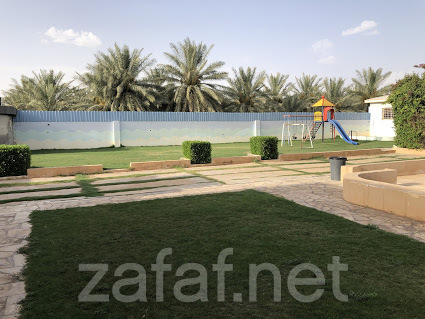 استراحة الجزيرة