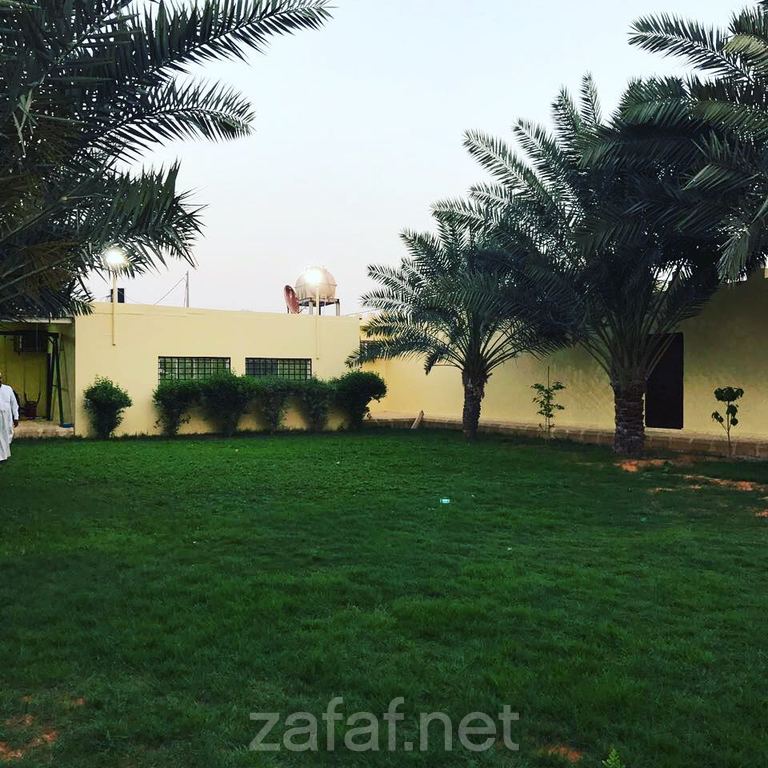 إستراحة ليالي