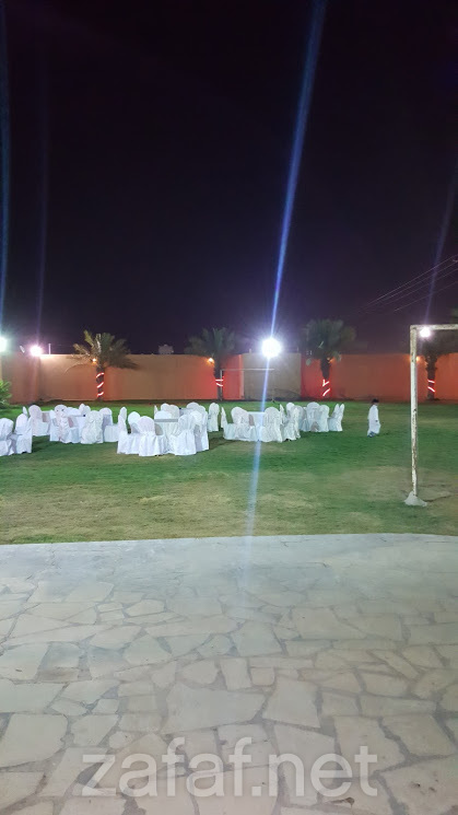 لؤلؤة الرمال