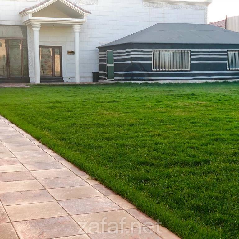 استراحة الخمس نجوم