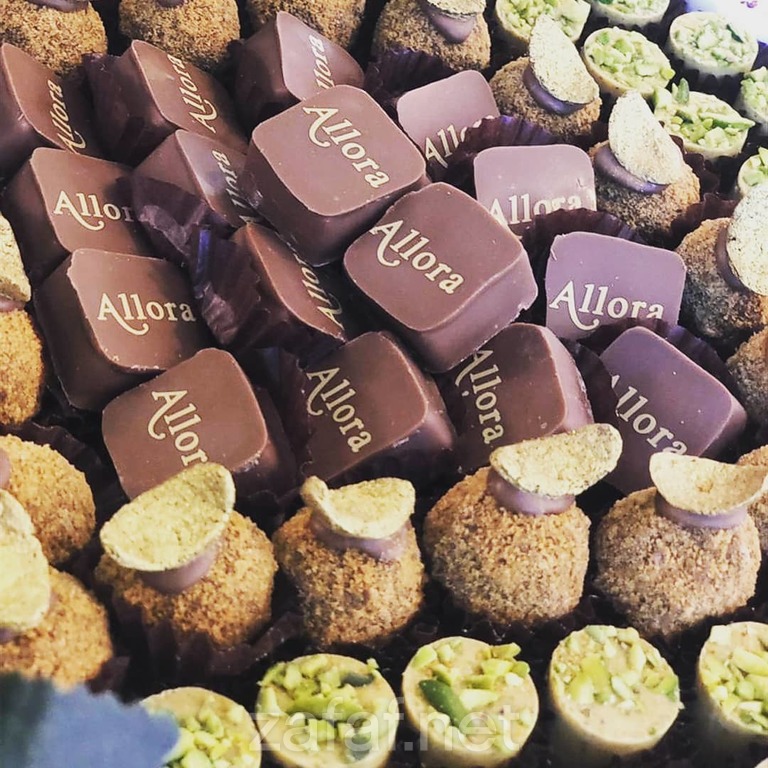 1بيانست شوكو