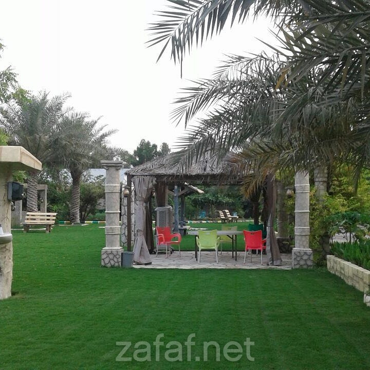 منتجع عروس البحرين