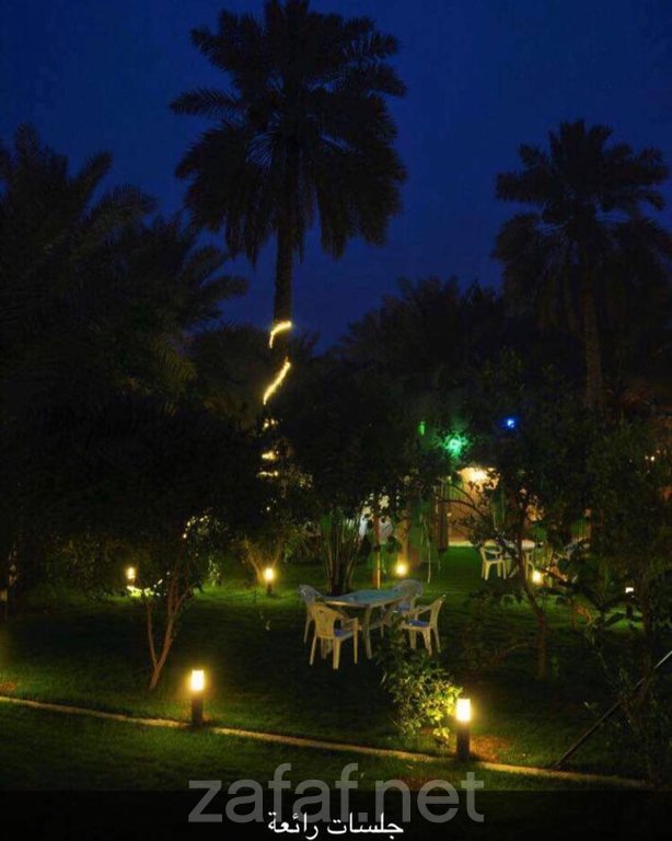 منتجع الراشد