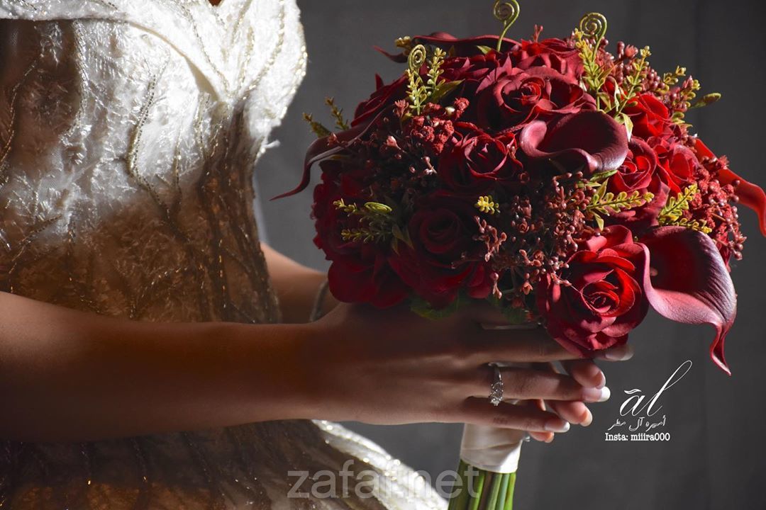 أميرة آل مطر